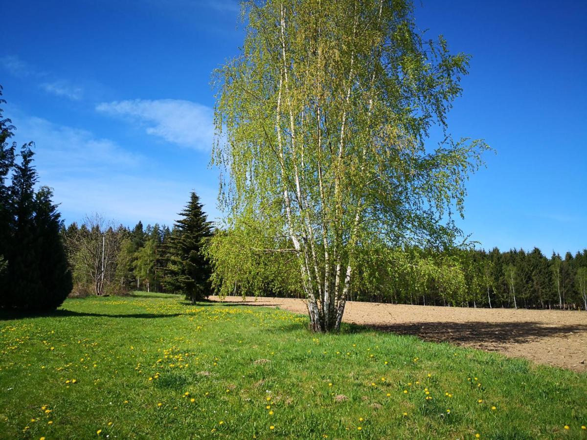 Ferienwohnungen 1 Bis 4 "Pumphut'S Scheune" Lengenfeld  Buitenkant foto